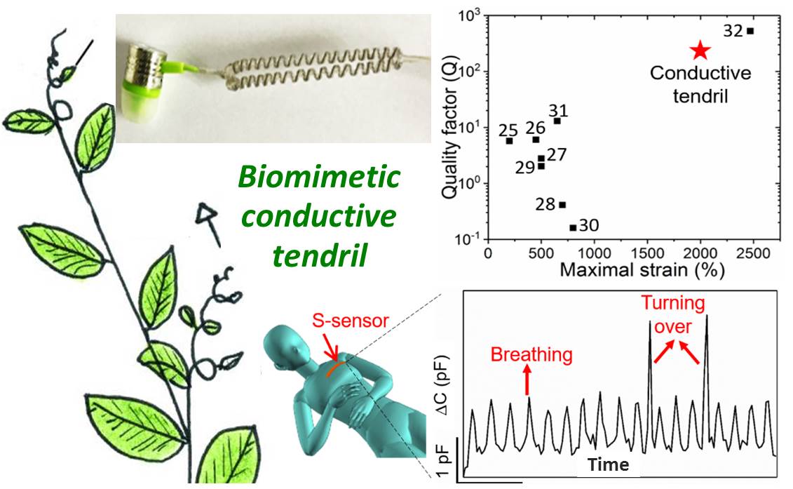 A biomimetic conductive tendril for ultrastretchable and integratable electronics, muscles and sensors