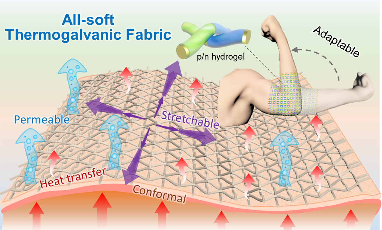 All-soft stretchable thermogalvanic