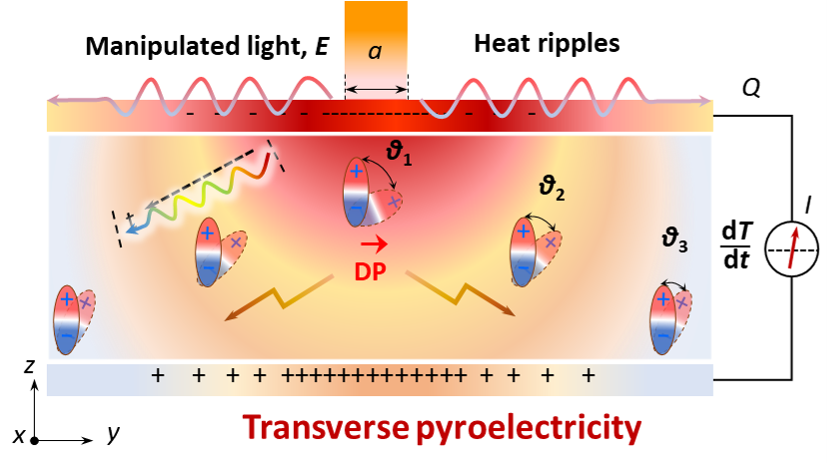 Giant polarization ripple in transverse pyroelectricity