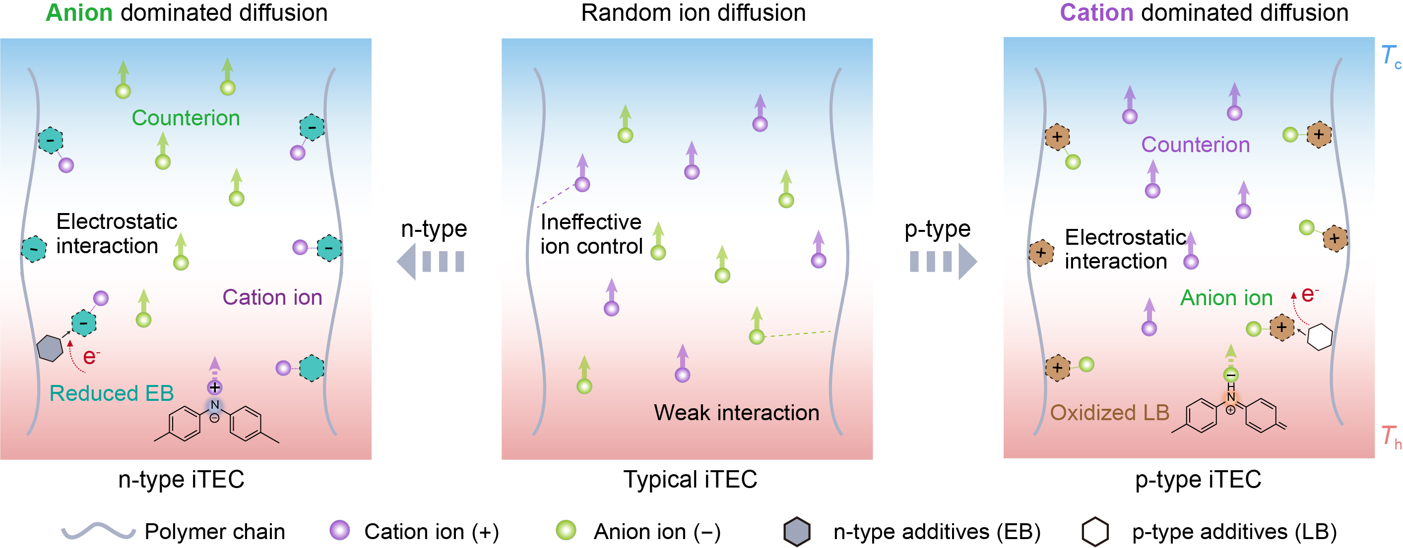 Ion transport control in electrolytes