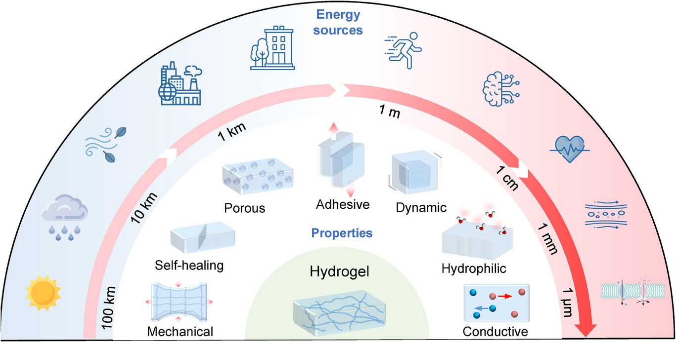 Design strategies and roles of hydrogels