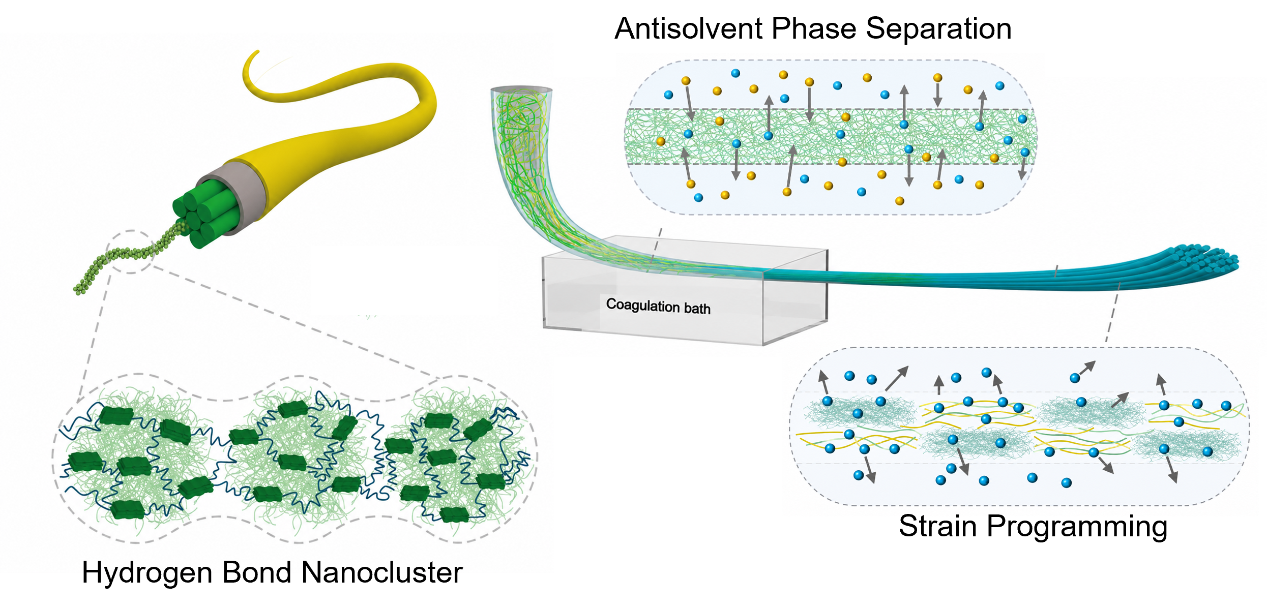 Controlled microphase separation and strain programming