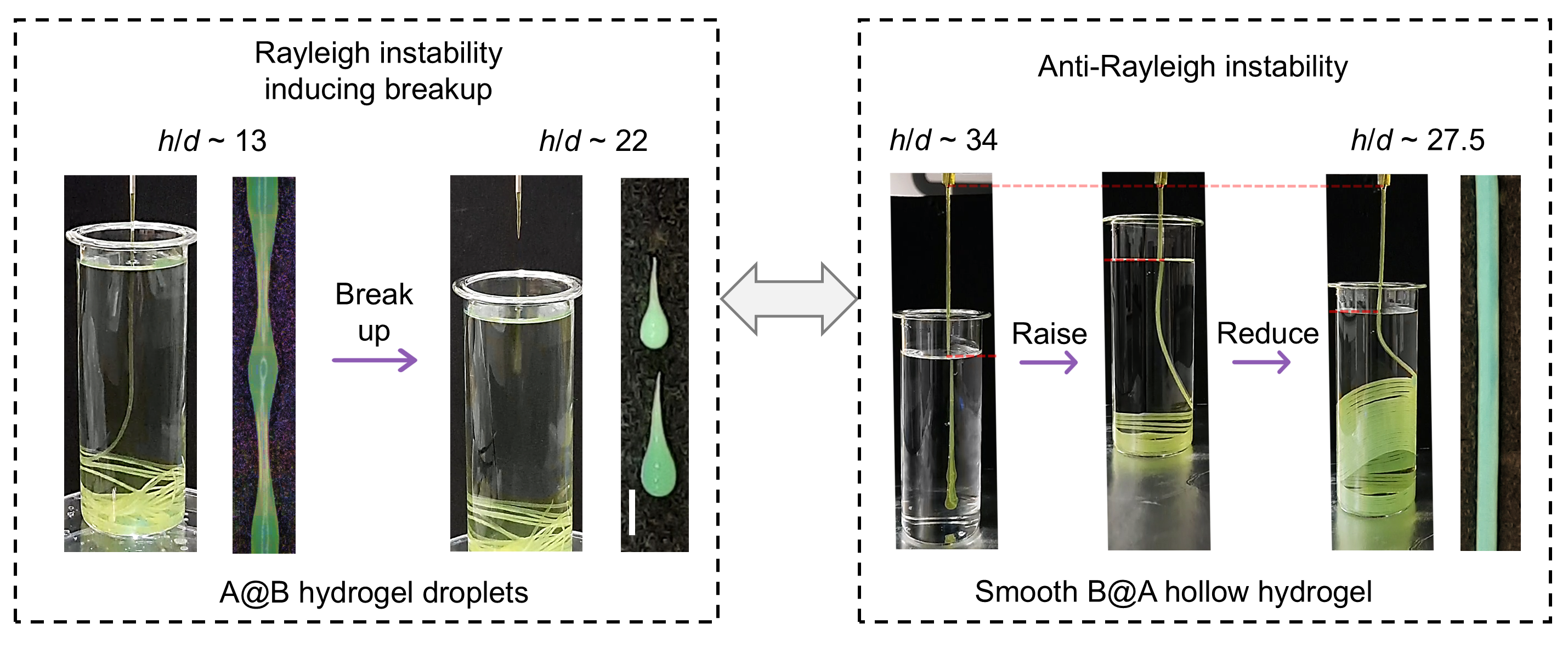 Continuous transformation in spatially coregulated hollow filaments for water‐powered energy