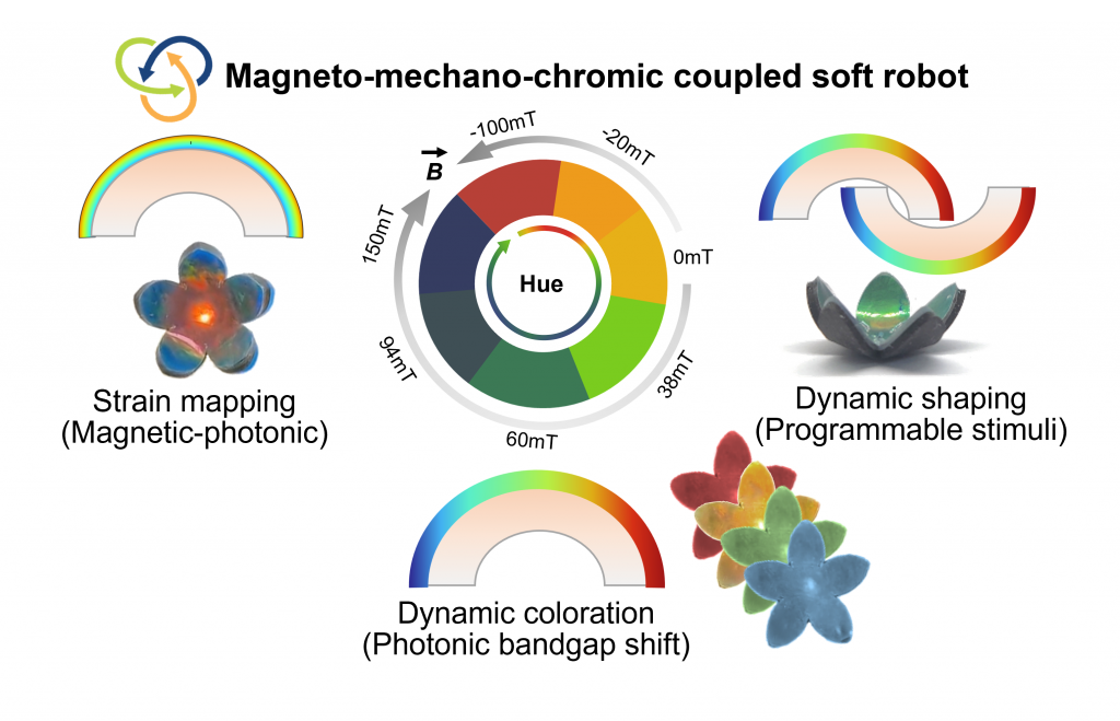 Programmable robotic shape shifting and color morphing – Ho Ghim Wei ...